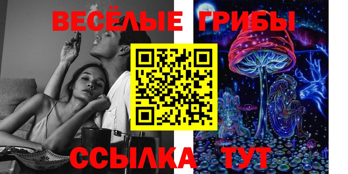 купить   Вход с VPN  Невинномысск  Галлюциногенные грибы ЛСД 