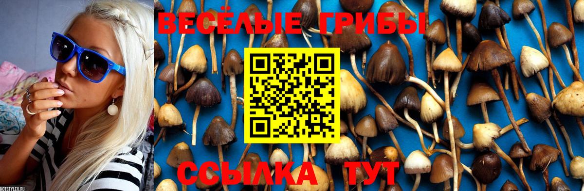 Псилоцибиновые грибы GOLDEN TEACHER Невинномысск